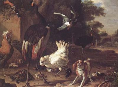 Melchior de Hondecoeter Birds and a Spaniel in a Garden (mk25) china oil painting image